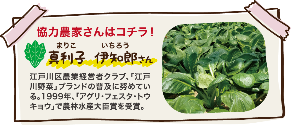 協力農家さんはコチラ！ 真利子 伊知朗さん 江戸川区農業経営者クラブ、｢江戸川野菜｣ブランドの普及に努めている。1999年、「アグリ・フェスタ・トウキョウ」で農林水産大臣賞を受賞。